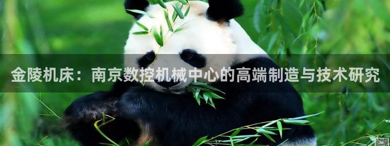 天辰娱乐天辰宝