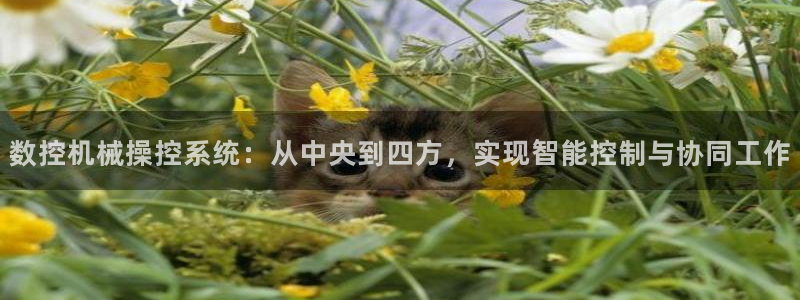 天富娱乐天辰娱乐