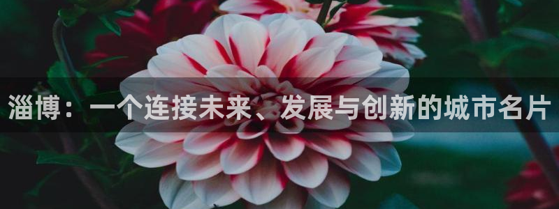 天辰娱乐天辰注册登录:淄博:一个连接未来、发展与创新的城市名片