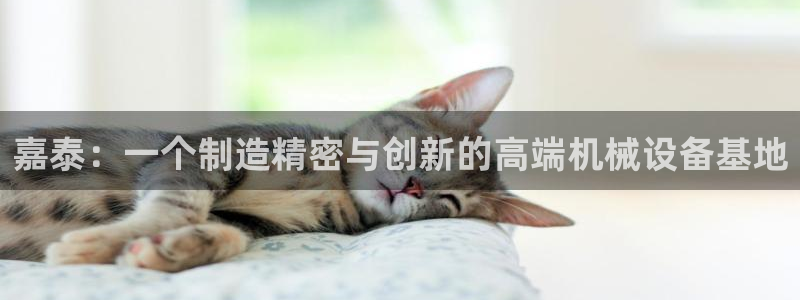 天辰娱乐appxi：嘉泰：一个制造精密与创新的高端机械设备基地