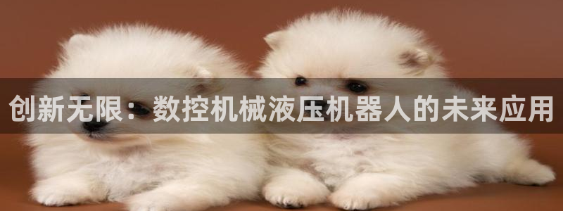 天辰娱乐_ 18113：创新无限：数控机械液压机器人的未来应用