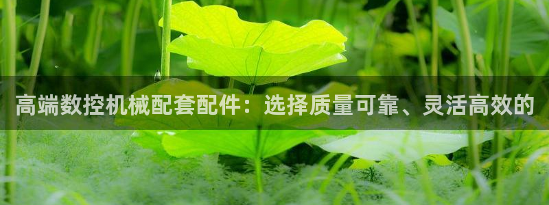 天辰娱乐娱乐平台