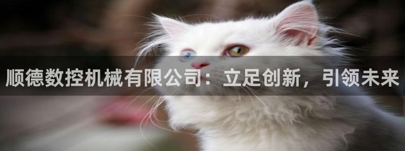 nba天辰娱乐