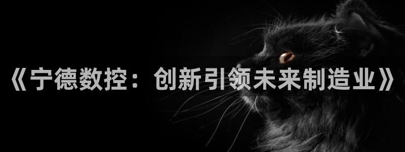 天辰娱乐平台地址在哪里：《宁德数控：创新引领未来制造业》