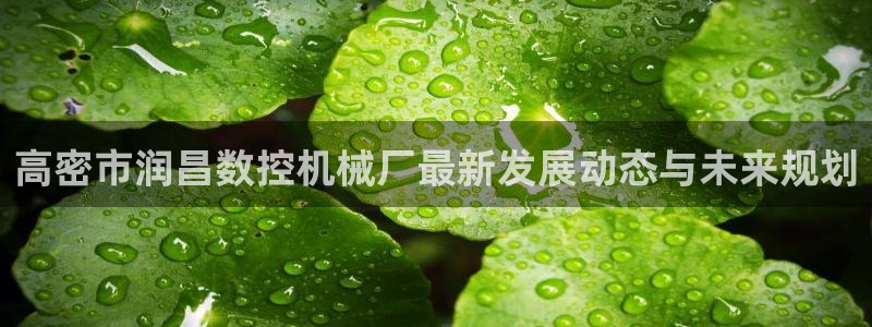 天辰娱乐APP下载