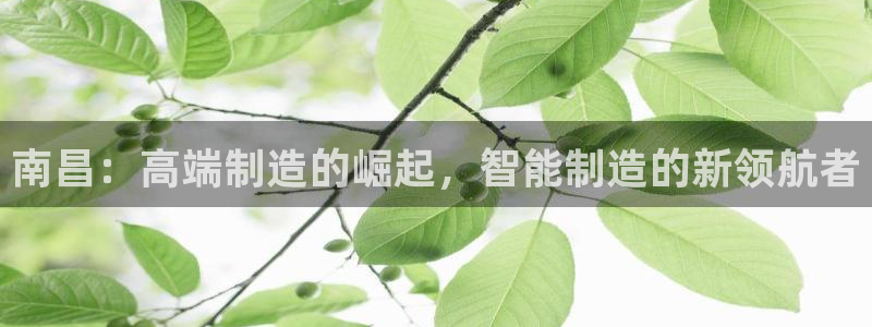 天辰娱乐欢乐：南昌：高端制造的崛起，智能制造的新领航者