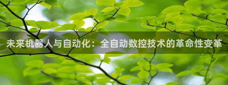 天辰在线娱乐：未来机器人与自动化：全自动数控技术的革命性变革