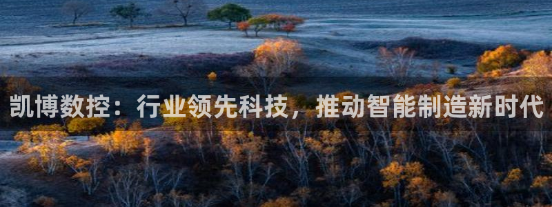 天辰娱乐台湾：凯博数控：行业领先科技，推动智能制造新时代