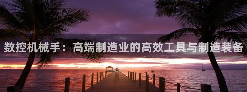 天辰娱乐平台测速:数控机械手:高端制造业的高效工具与制造装备